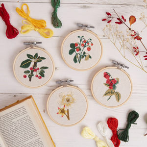 RHS Embroidery Hoop Decoration Kit Summer Berries